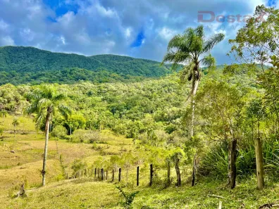 Fazenda/Sítio à venda, 56000m² no Vila Doze, Antônio Carlos