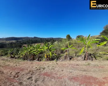 Lote/Terreno à venda, 100000m² no Monte Alegre, Vinhedo