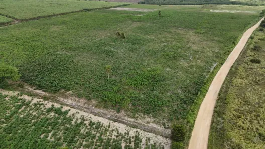Fazenda/Sítio com 4 Quartos à venda, 800000m² no , Macaíba