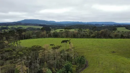 Fazenda/Sítio à venda, 200000m² no , Bom Retiro