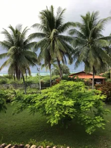 Casa com 4 Quartos à venda, 1320m² no , Vera Cruz