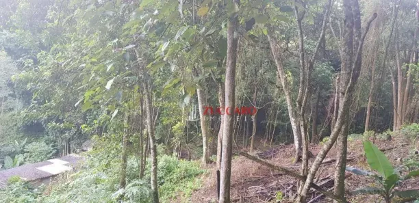 Lote/Terreno à venda, 2400m² no Rancho Grande, Mairiporã