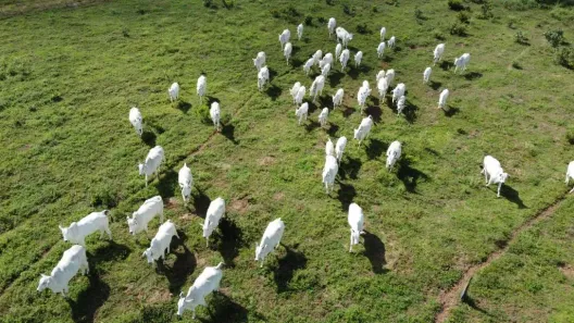Fazenda/Sítio à venda, 21586400m² no , Chapada dos Guimarães
