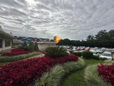 Galpão/Depósito/Armazém para alugar, 1538m² no Águas Belas, São José dos Pinhais