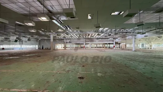 Galpão/Depósito/Armazém para alugar, 8000m² no Vila Almeida, São Paulo
