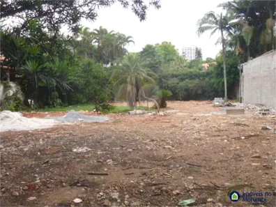 Lote/Terreno à venda, 1172m² no Jardim Europa, São Paulo