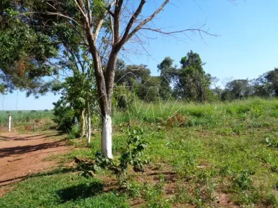 Fazenda/Sítio à venda, 80700m² no Centro, Araraquara