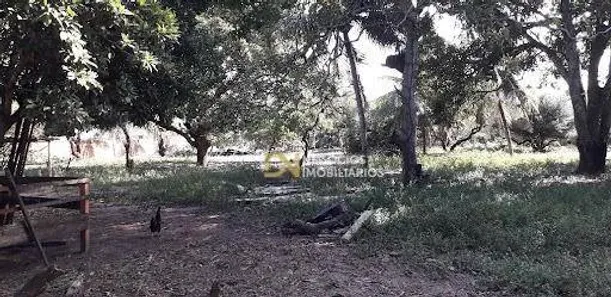 Lote/Terreno à venda, 9000m² no , São José de Mipibu