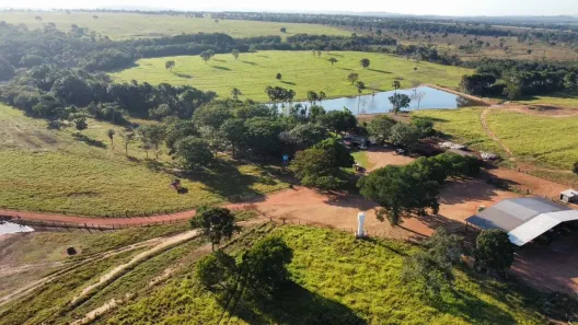 Fazenda/Sítio com 3 Quartos à venda, 160m² no , Fazenda Nova