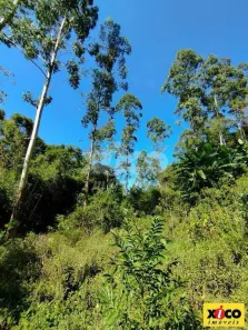 Lote/Terreno à venda, 5000m² no Joaneta, Picada Café
