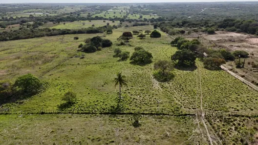 Fazenda/Sítio com 8 Quartos à venda, 196000m² no , Macaíba