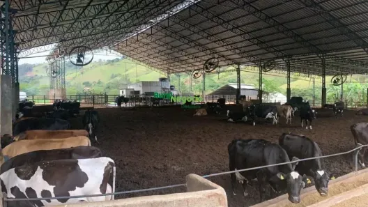 Fazenda/Sítio à venda, 851400m² no Centro, Itajubá