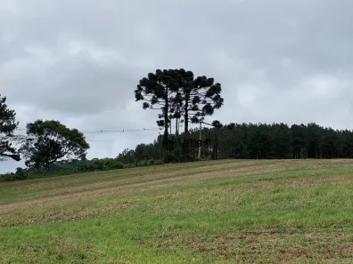 Fazenda/Sítio à venda, 1306800m² no Bom Sucesso, Castro