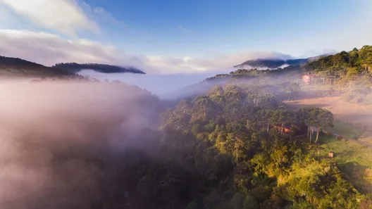 Imóvel Comercial com 10 Quartos à venda, 700m² no Vacas Gordas, Urubici