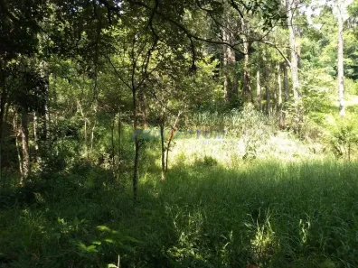 Lote/Terreno à venda, 1343m² no Joaquim Egídio, Campinas