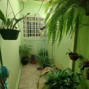 Casa com 3 Quartos à venda, 121m² no Alto Cafezal, Marília