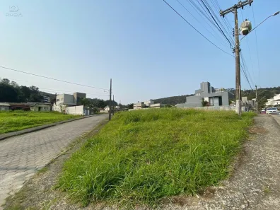 Lote/Terreno para alugar, 1427m² no Mina Brasil, Criciúma