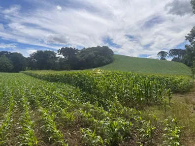 Fazenda/Sítio com 1 Quarto à venda, 10840m² no Fazendinha, Campo Largo