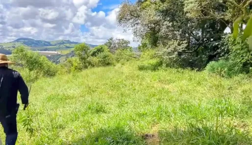 Lote/Terreno à venda, 10000m² no , Bom Repouso