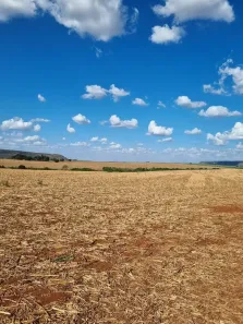 Fazenda/Sítio com 3 Quartos à venda, 351m² no Ouroana, Rio Verde