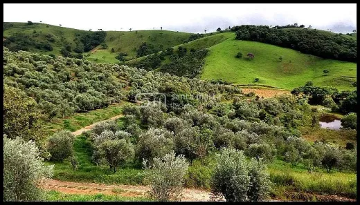 Fazenda/Sítio à venda, 197000m² no Área Rural de Lorena, Lorena
