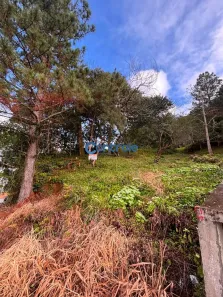 Lote/Terreno à venda, 360m² no Potecas, São José