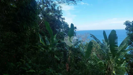 Lote/Terreno à venda, 6000m² no São Conrado, Rio de Janeiro