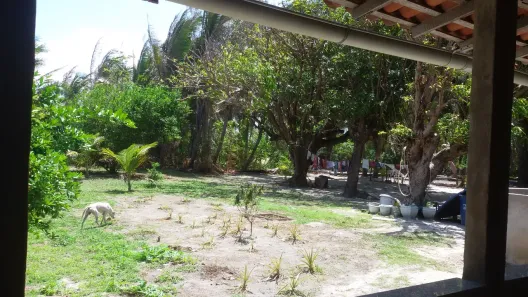 Fazenda/Sítio com 2 Quartos à venda, 200m² no Novo Cohatrac, São José de Ribamar