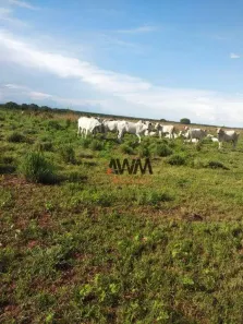Fazenda/Sítio à venda, 79279200m² no Zona Rural, Duerê