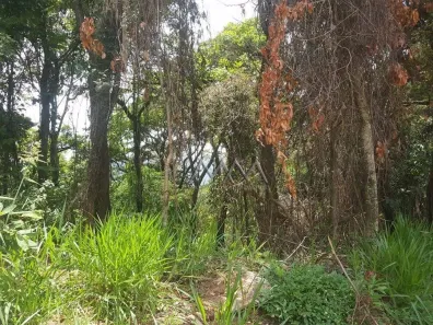 Lote/Terreno à venda, 2286m² no Pau Pombo, Nova Lima