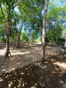 Lote/Terreno à venda, 750m² no Uruguai, Teresina