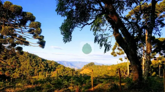 Lote/Terreno à venda, 72600m² no Venâncios, Gonçalves