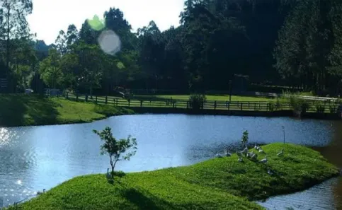 Lote/Terreno à venda, 1000m² no Lomba Grande, Novo Hamburgo