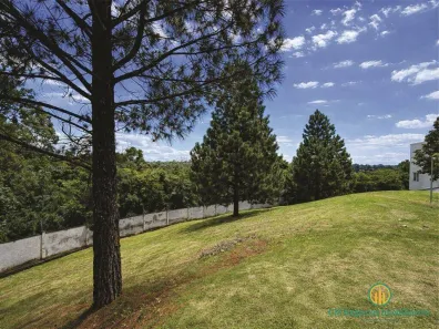 Lote/Terreno à venda, 777m² no Granja Viana, Carapicuíba
