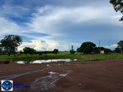 Fazenda/Sítio com 3 Quartos à venda, 360m² no Nova Flores, Flores de Goiás