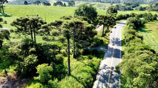 Fazenda/Sítio à venda, 232000m² no , Rio Rufino