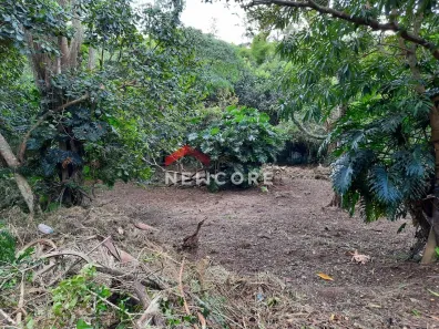Fazenda/Sítio com 1 Quarto à venda, 2437m² no Chácara Eliana, Cotia