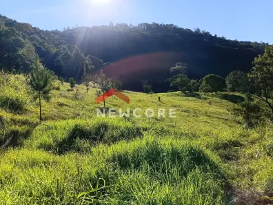 Fazenda/Sítio com 1 Quarto à venda, 29000m² no Centro, São Francisco de Paula