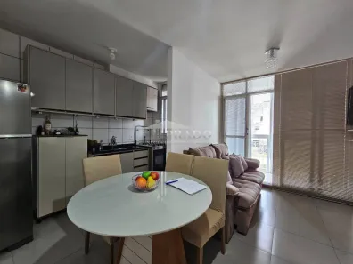 Apartamento com 2 Quartos à venda, 47m² no San Rafael, Ibiporã