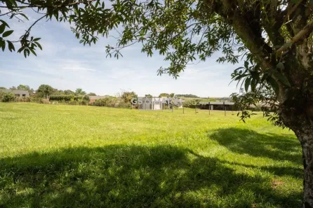 Lote/Terreno à venda, 2603m² no Esperança, Londrina