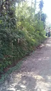 Lote/Terreno à venda, 2153m² no Jardim dos Ipês, Embu das Artes