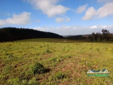 Fazenda/Sítio à venda, 630000m² no Área Rural de Águas Claras, Viamão
