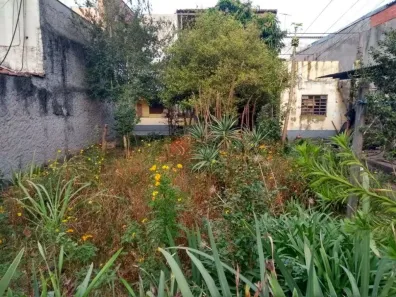 Lote/Terreno à venda, 312m² no Vila Invernada, São Paulo