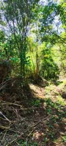 Lote/Terreno à venda, 20m² no Nova Petrópolis, Nova Petrópolis