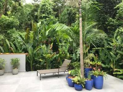 Casa de Condomínio com 4 Quartos à venda, 250m² no Maresias, São Sebastião