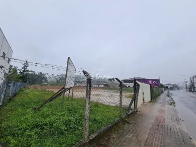 Lote/Terreno para alugar, 5000m² no Centro, Guabiruba