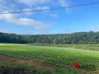 Lote/Terreno à venda, 194m² no Parque Santa Rosa, Suzano