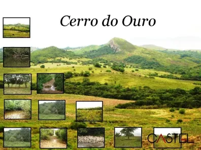 Fazenda/Sítio com 5 Quartos à venda, 715000m² no Centro, São Gabriel