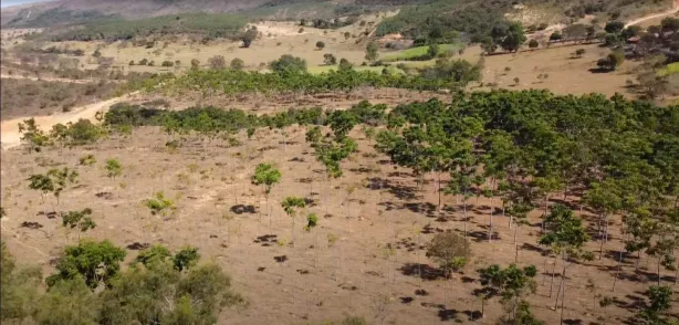 Lote/Terreno à venda, 20019m² no , Cordisburgo