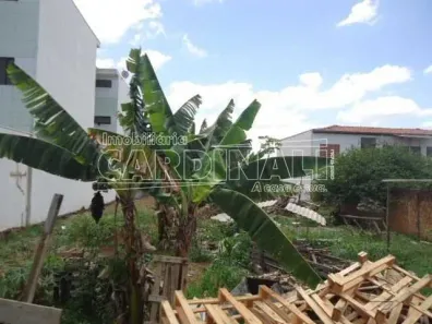 Lote/Terreno à venda, 239m² no Vila Brasília, São Carlos